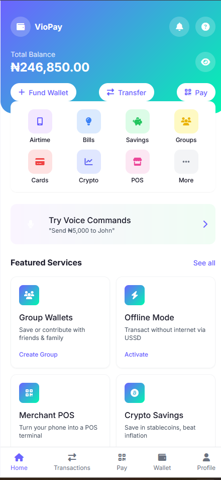 Viopay Project Image